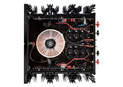 Audio Analogue Doninzetti